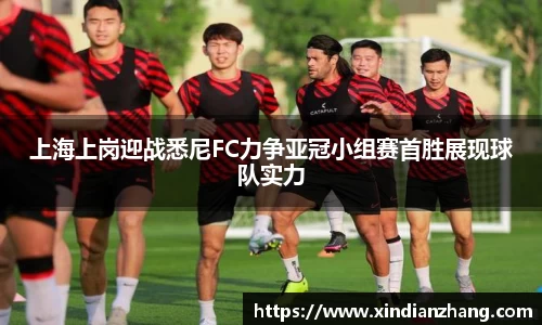 上海上岗迎战悉尼FC力争亚冠小组赛首胜展现球队实力